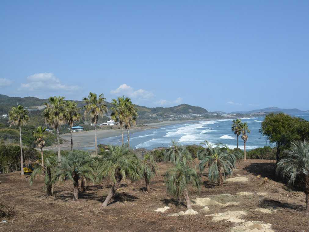 宮崎県のおすすめビーチ 海水浴場 年度の開催 中止は るるぶ More