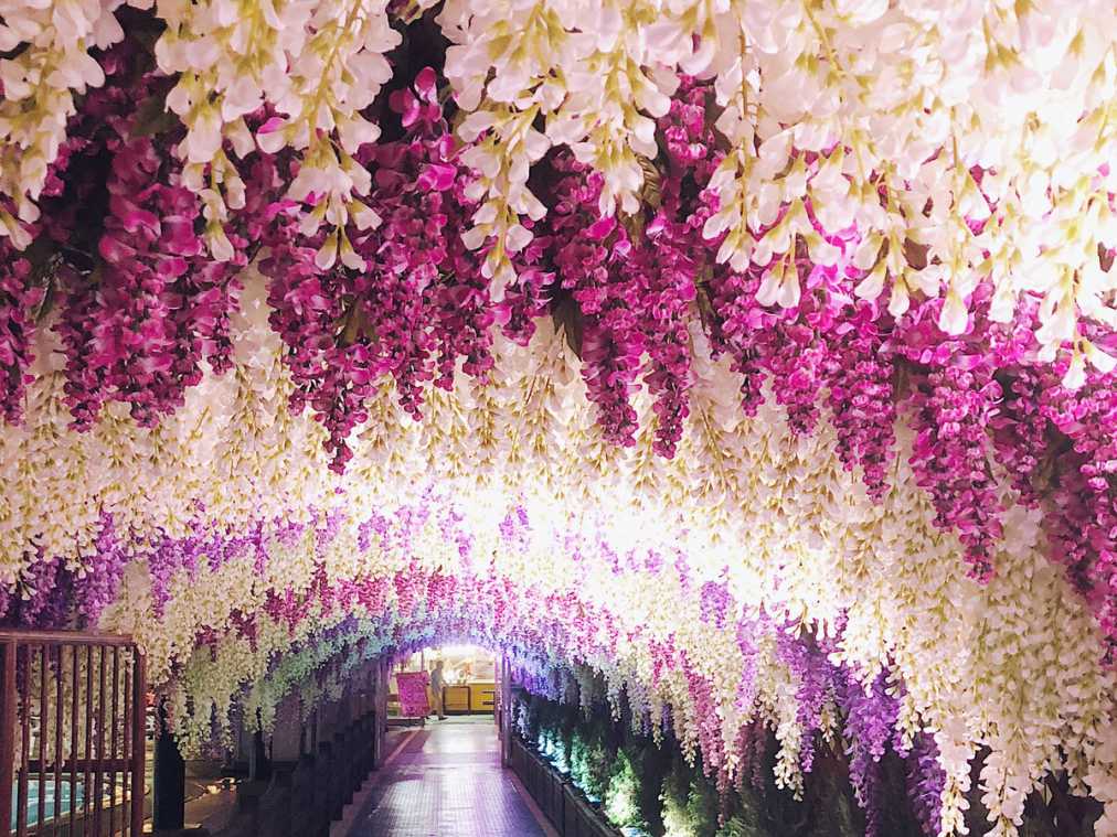 9月9日まで 東京サマーランドの夏限定 絶景 ナイトプール がすごい るるぶ More