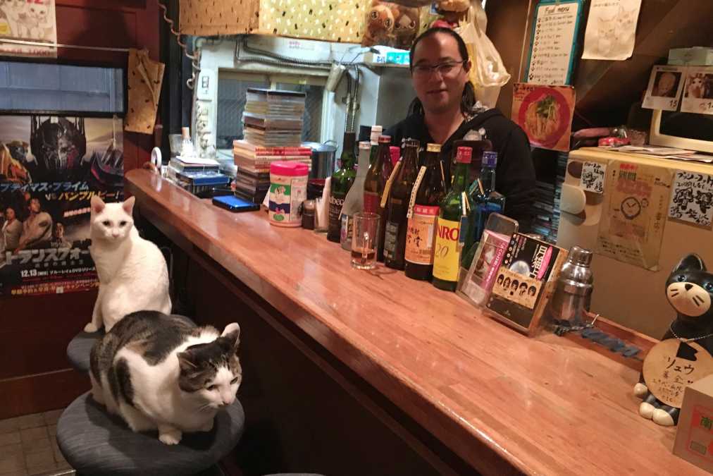 居心地よすぎて朝までコース 猫が客引きするゴールデン街のbarは 金曜日に行きたい るるぶ More