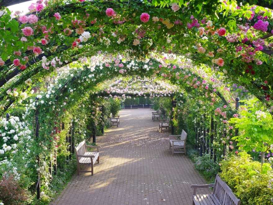 花と緑の世界 横浜イングリッシュガーデン はバラ アジサイコラボの6月が見逃せない るるぶ More