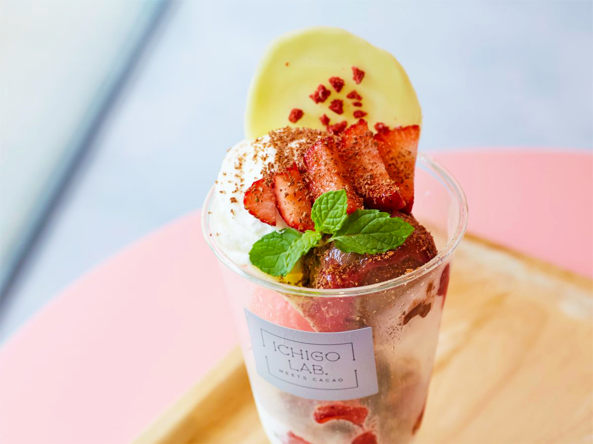 ベリーショコラ パフェ 800円