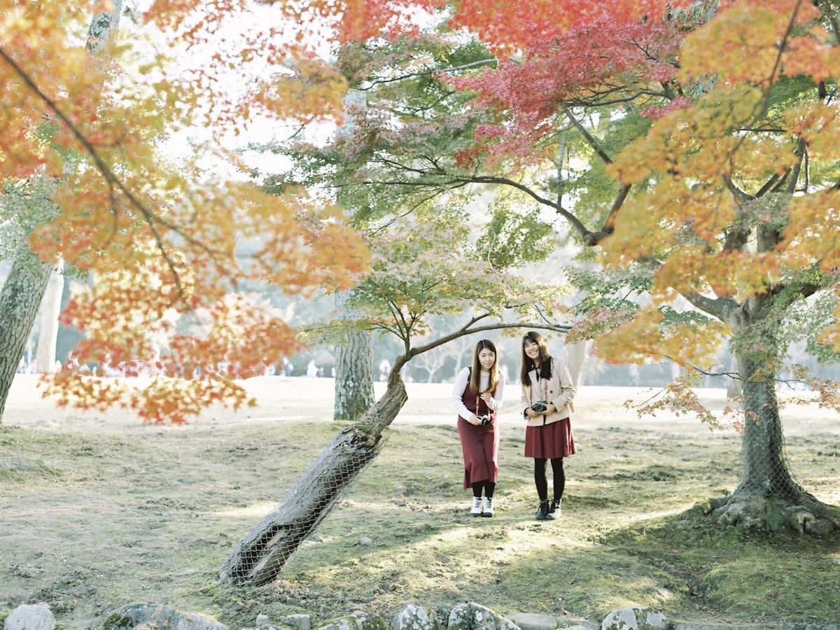 鹿で有名な 奈良公園 は紅葉も見事 Masaの関西カメラさんぽ12 るるぶ More