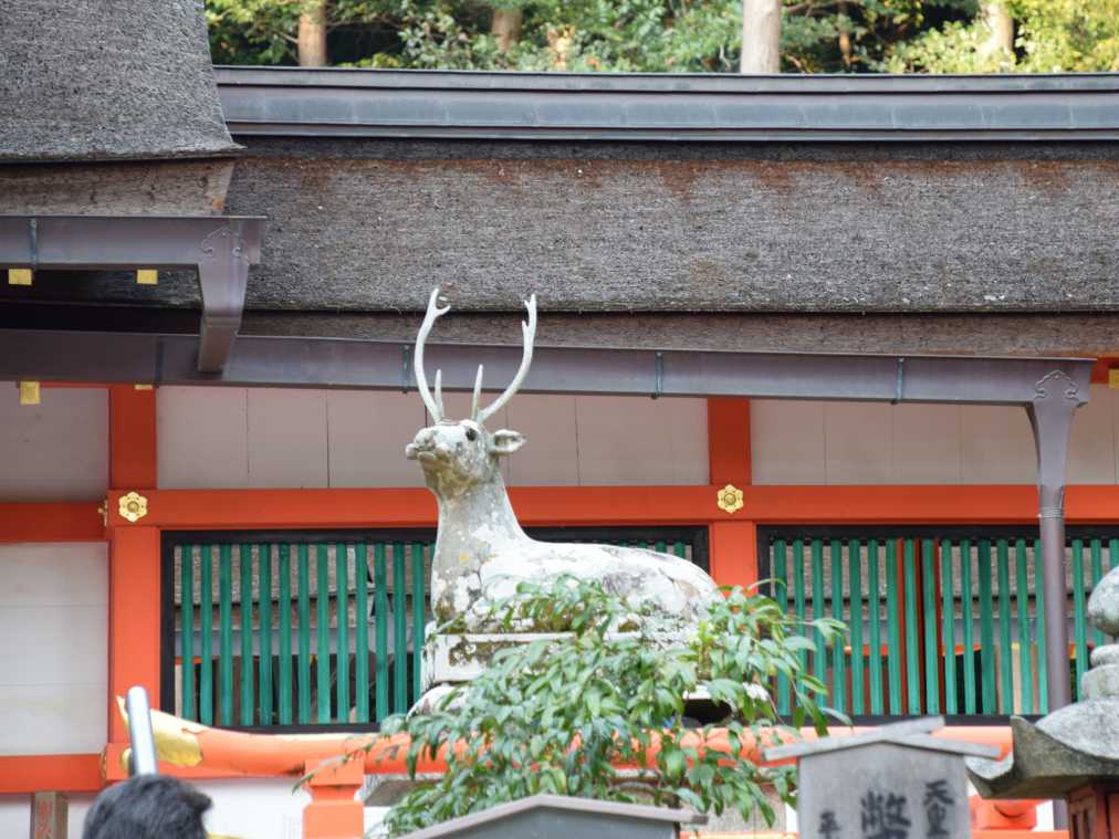 縁結びの京都 大原野神社へ 鹿 の御朱印帳やおみくじがかわいい
