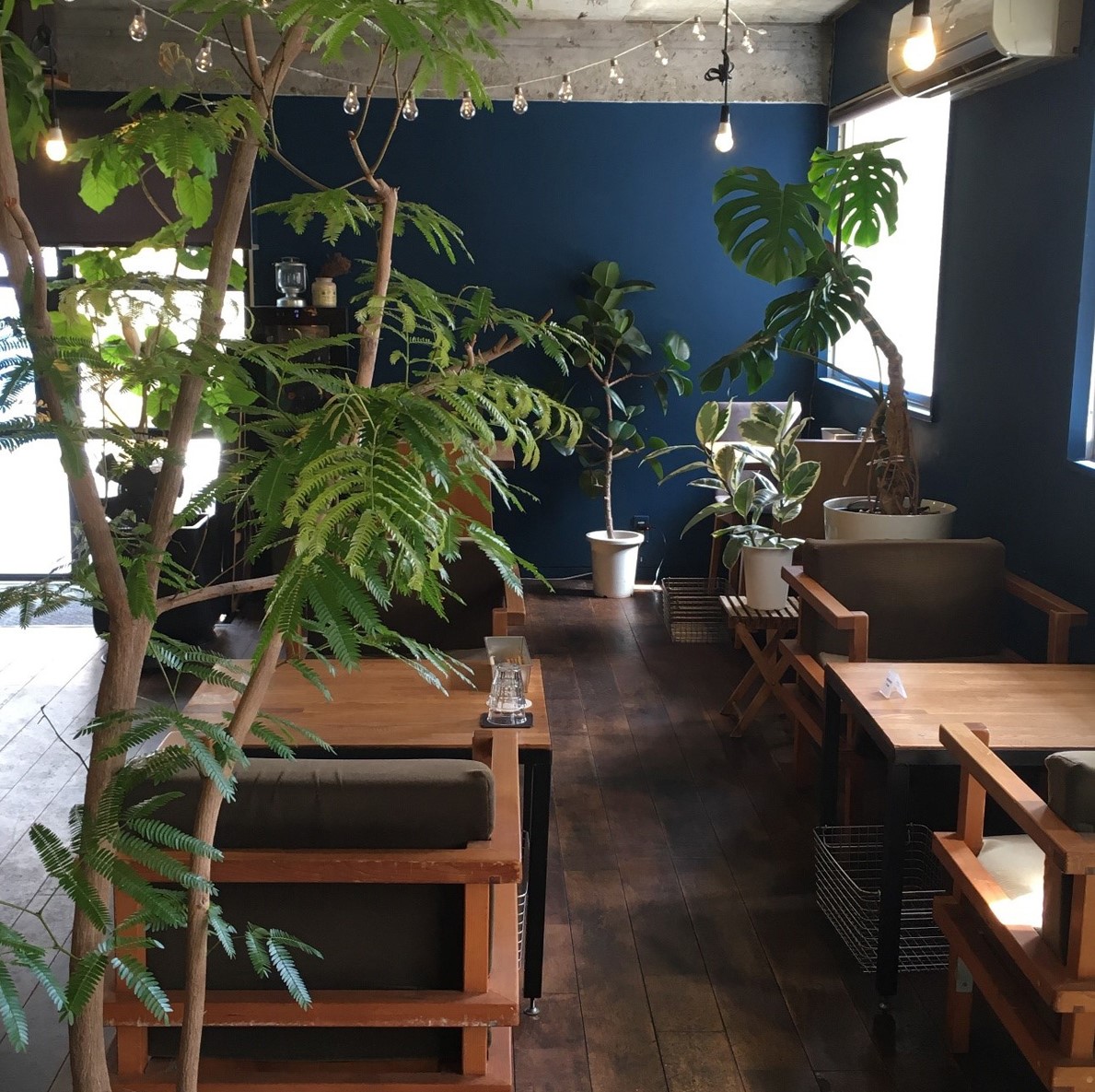 写真提供:cafe-hakuta