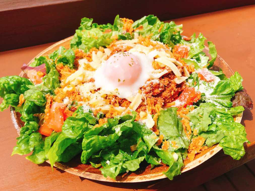 タコライス800円