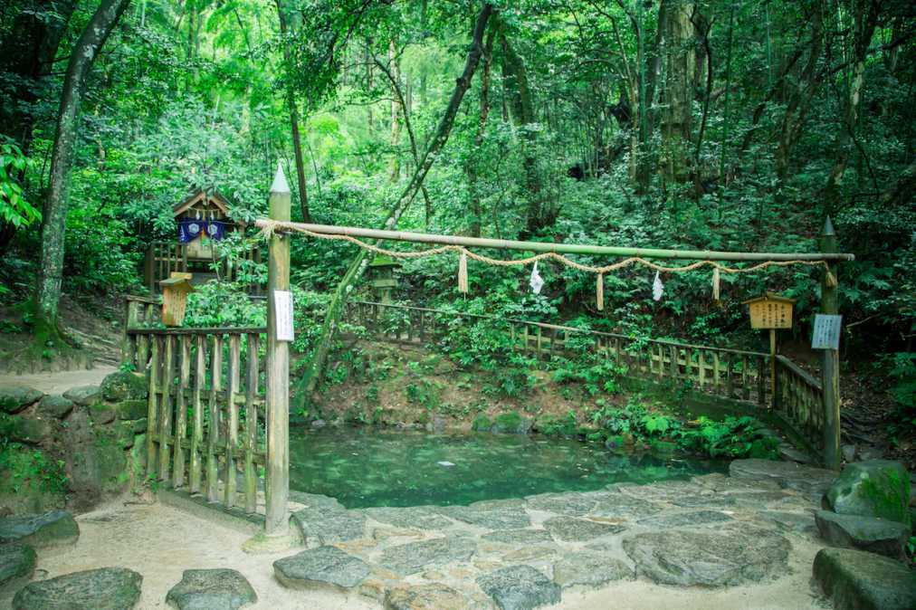 島根 八重垣神社 で縁結び 鏡池で恋の行方を占っちゃおう るるぶ More