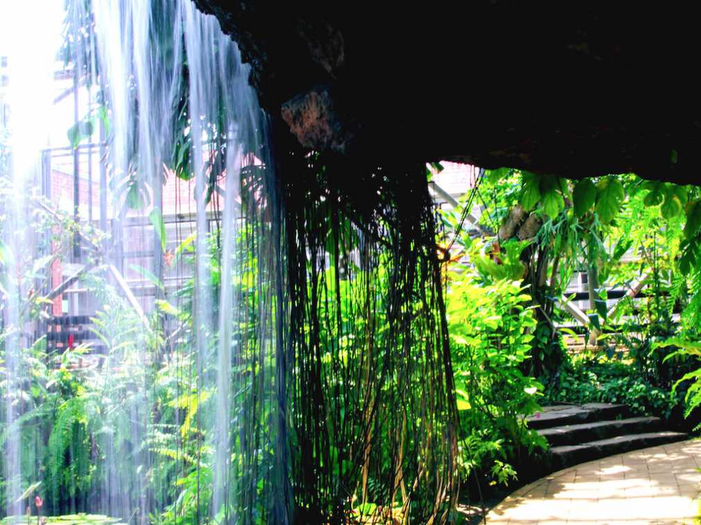 都内にある熱帯雨林 巨大な温室ドームで一年中トロピカル体験 るるぶ More