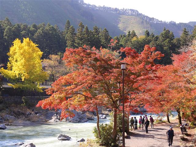 パワースポット御岳渓谷でのんびり 紅葉 芸術の秋満喫プラン るるぶ More