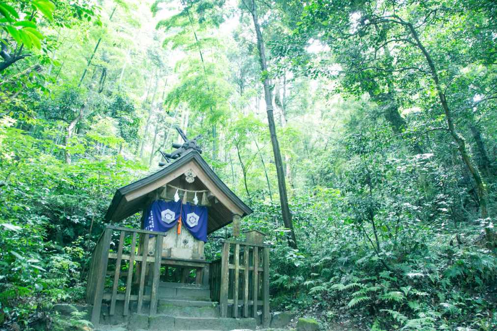 島根 八重垣神社 で縁結び 鏡池で恋の行方を占っちゃおう るるぶ More