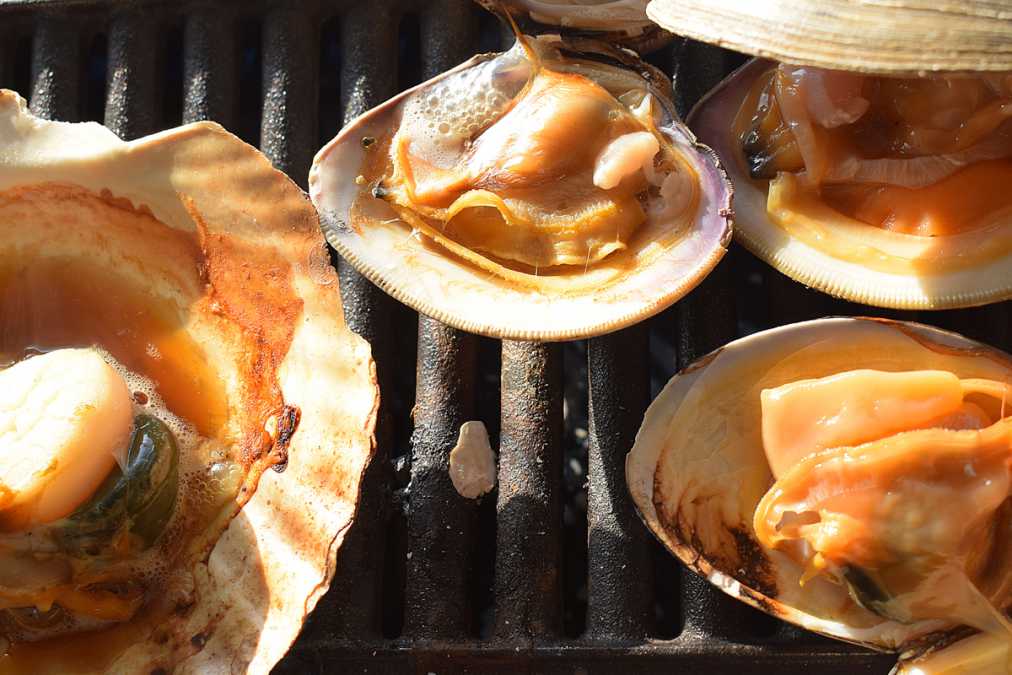 千葉・房総「漁師料理 かなや」がコスパ最高！2,900円の食べ放題で貝・肉の浜焼きと海鮮丼を堪能！