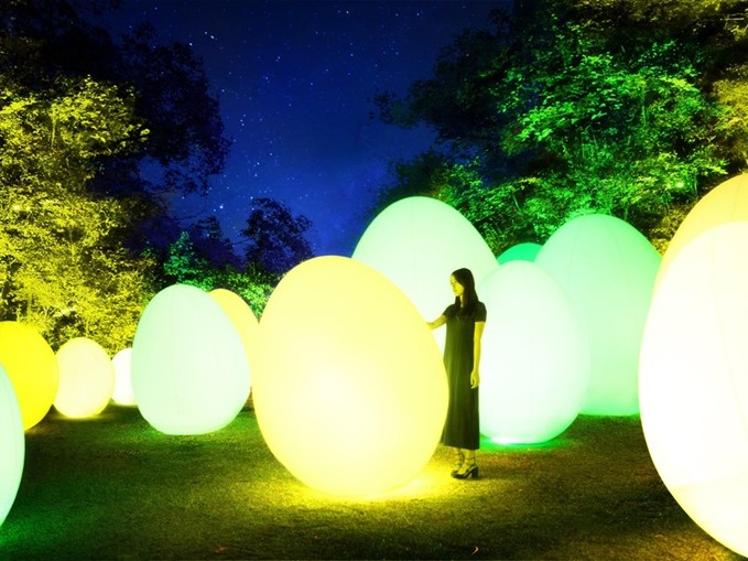 呼応する、たちつづけるものたちと森 / Resisting and Resonating Ovoids and Forest teamLab, 2018, Interactive Digital Installation, Endless, Sound: Hideaki Takahashi