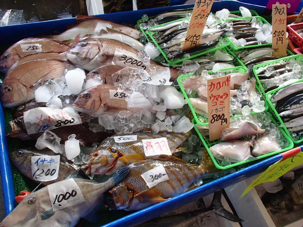 千葉県いすみ市 漁師グルメが勢ぞろい 大原漁港の朝市で新鮮魚介をいただきます