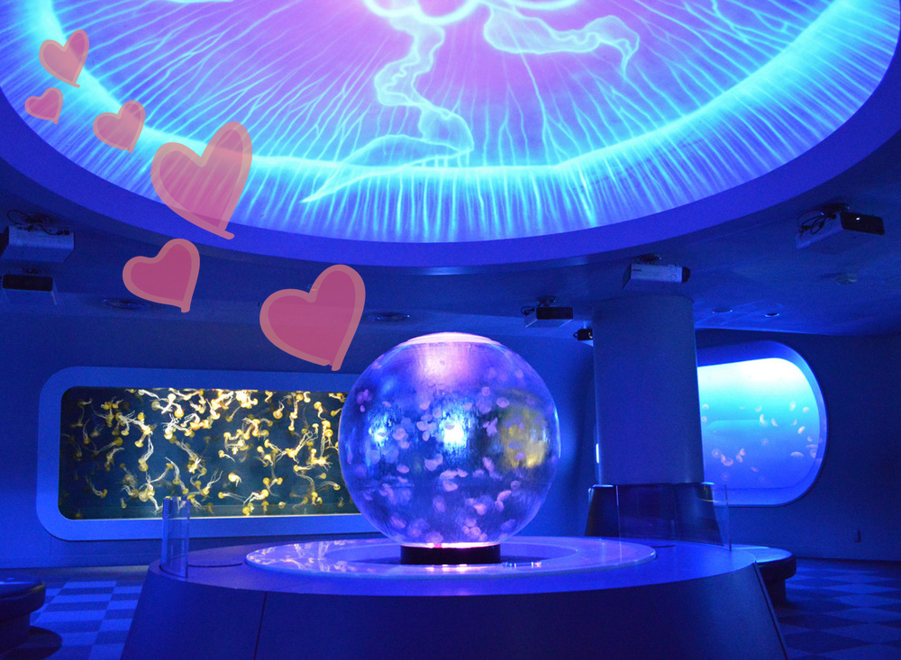 バレンタインは恋して えのすい へ 新江ノ島水族館のラブラブイベント開催 るるぶ More
