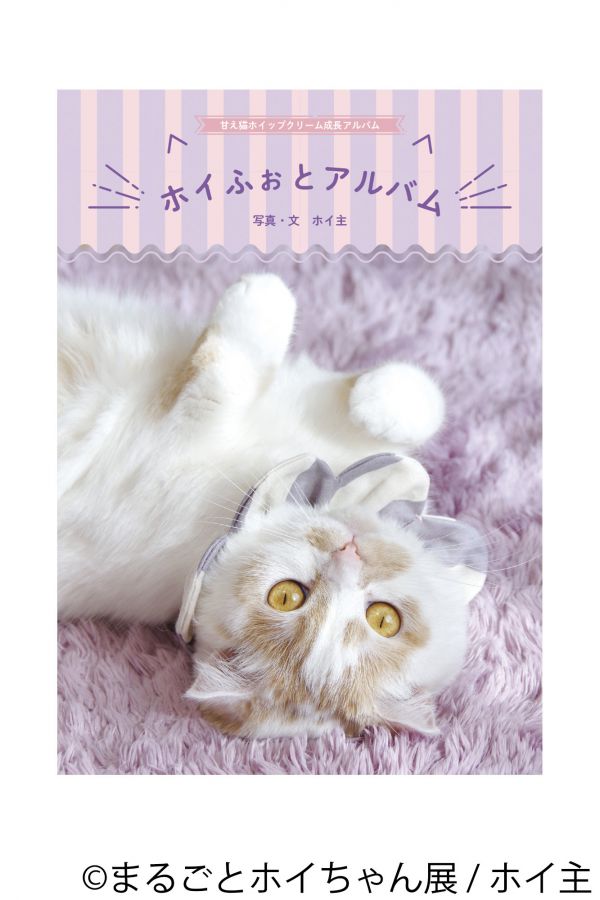 公式写真集「ホイふぉとアルバム」(初回限定ポストカード付き) 1300円