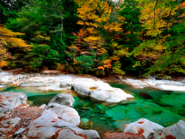 愛媛県でおすすめの紅葉名所 見頃などの21年情報