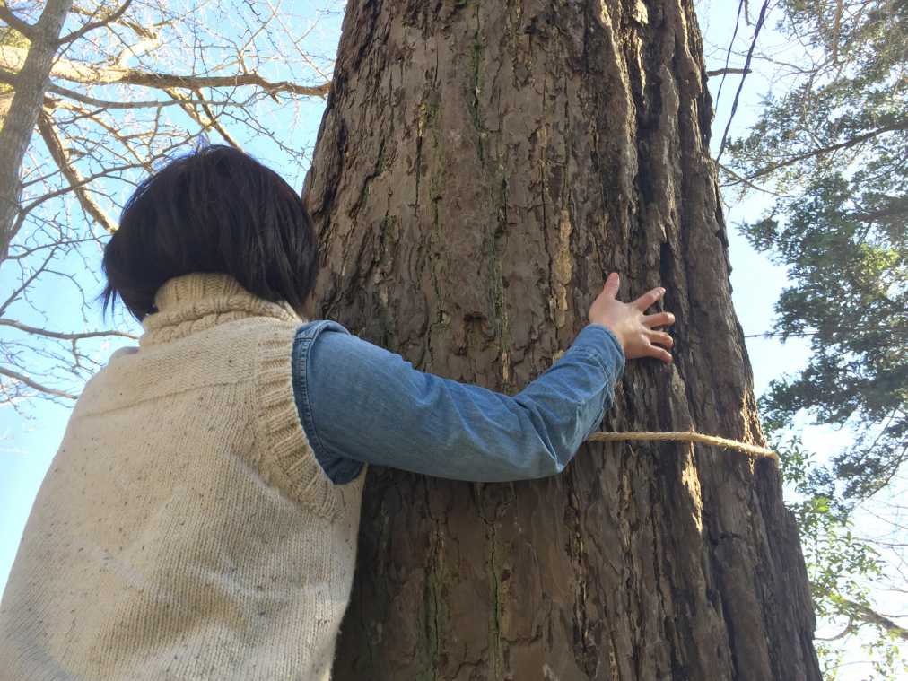 女性のためのパワースポット 玉前神社 でするべき7つのコト るるぶ More