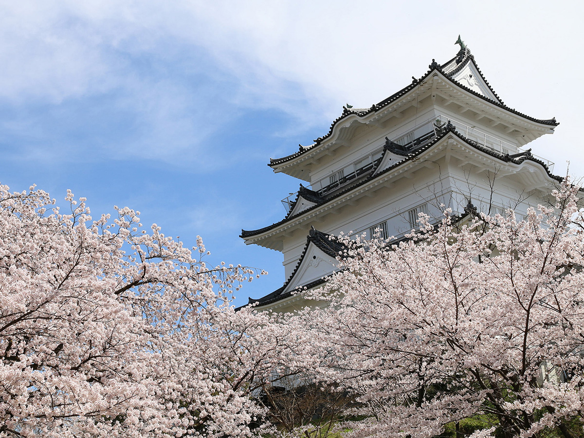 関東のお花見 桜名所ランキング 21 人気の夜桜や桜祭りも るるぶ More