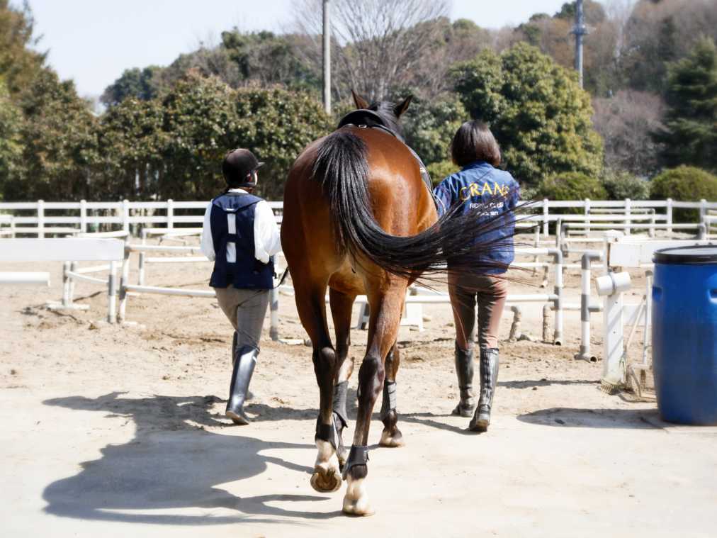 筋肉フル稼働 ダイエット効果も 新宿から30分で行ける乗馬クラブ るるぶ More