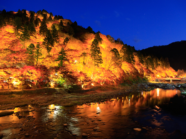 秋のデートにも 東海の紅葉ライトアップがおすすめの名所21