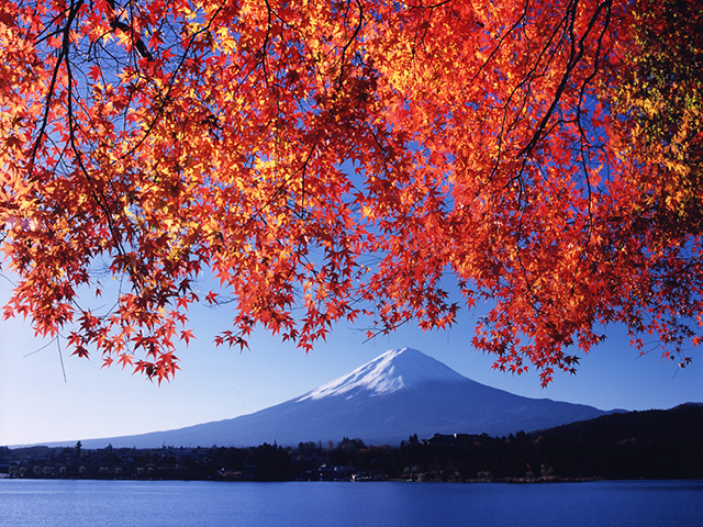 山梨県でおすすめの紅葉名所 見頃やライトアップなどの21年情報