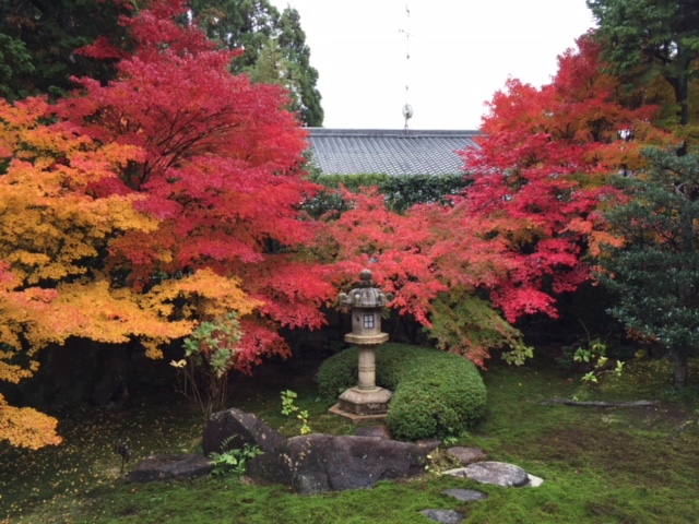 写真提供:京料理高澤 2016年11月中旬撮影