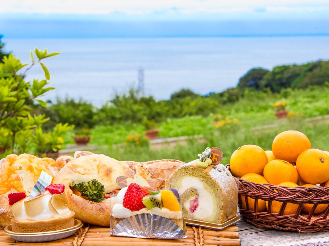 小田原 ヨロイヅカファームへ 絶景と人気の限定スイーツを求めてお出かけ るるぶ More
