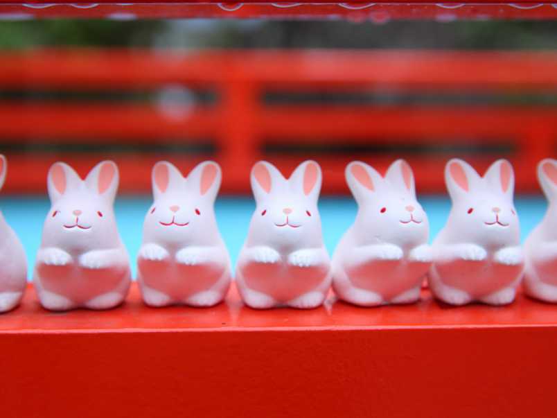 境内はうさぎだらけ！“うさぎ神社”こと「東天王 岡﨑神社」におまいり