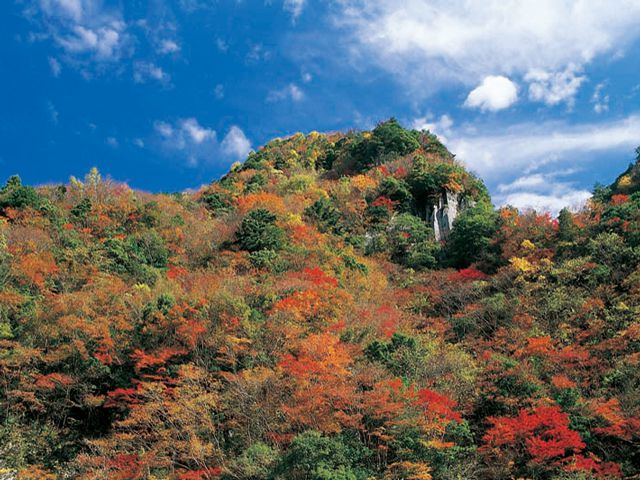 三重県でおすすめの紅葉名所 見頃やライトアップなどの年情報 るるぶ More