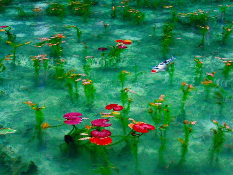 モネの池から郡上八幡を目指す！知る人ぞ知る穴場ドライブルート