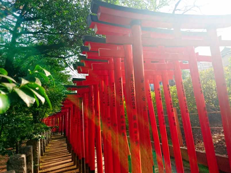 真っ赤な鳥居に視線クギヅケ 千本鳥居がsns映え最高の 根津神社 るるぶ More