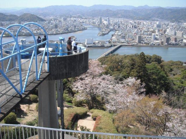 高知県のお花見 桜の名所 22年最新 夜桜 ライトアップや桜祭りも