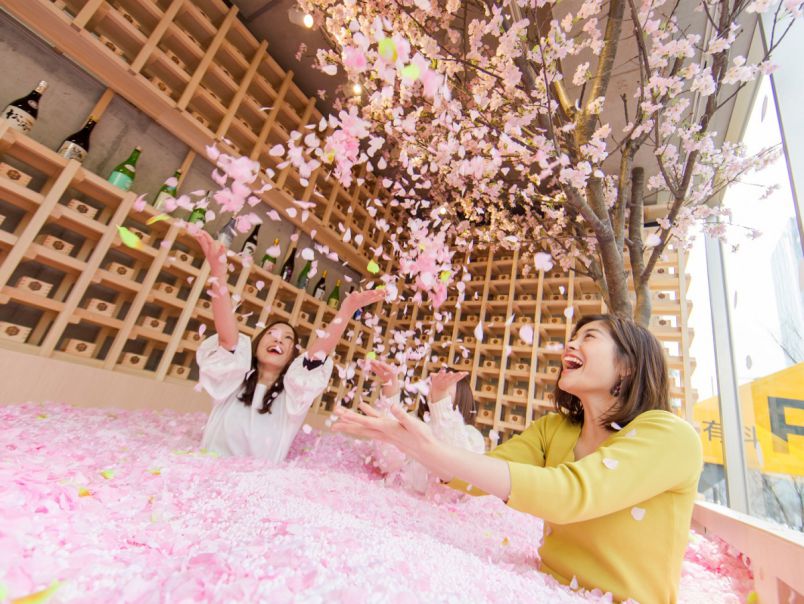 桜の花びらの作品集 楽天市場】【花材 小分け】 桜の花びら 6枚入り さくら