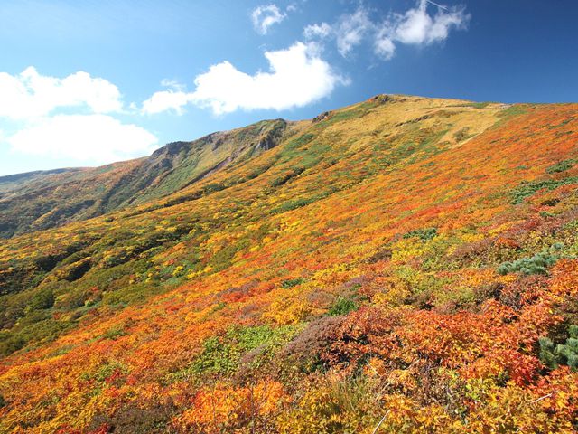 宮城県でおすすめの紅葉名所 見頃などの年情報 るるぶ More