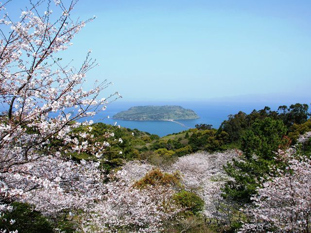 鹿児島県のお花見 桜の名所 21 夜桜 ライトアップや桜祭りも るるぶ More