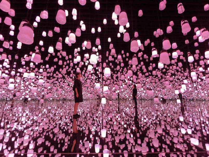 ランプの森」が桜一色に染まる！チームラボ春限定のプログラムへ