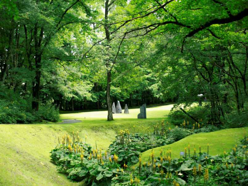 l_Y3s1cxDEG3loS213PwVCO5GgSFv4