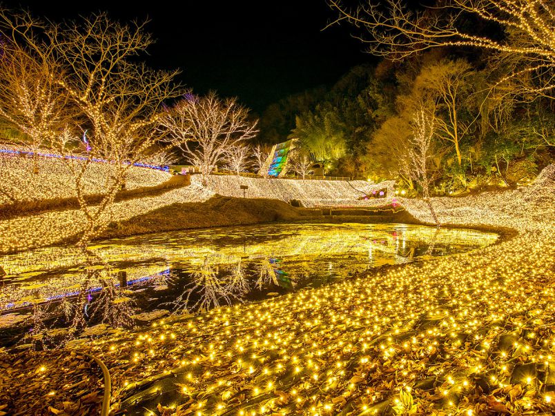 神戸 三木など 兵庫県のおすすめイルミネーション 2019 2020 るるぶ More