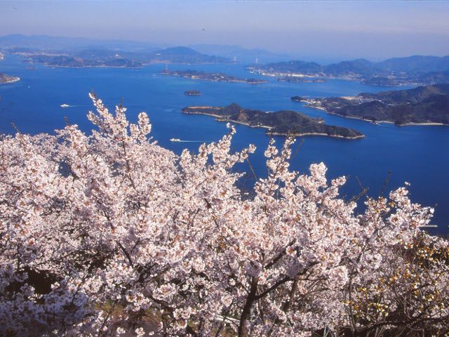 広島県のお花見 桜の名所 21 夜桜 ライトアップや桜祭りも るるぶ More