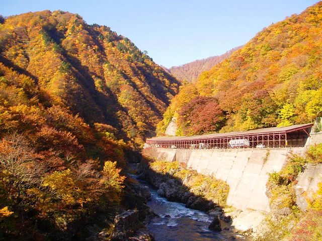 山形県でおすすめの紅葉名所 見頃やライトアップなどの21年情報