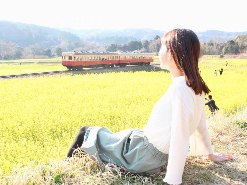 春はいすみ鉄道で日帰りさんぽ この時期だけの菜の花畑と絶品ヴィーガンカフェへ るるぶ More