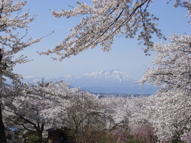 岩手県のお花見 桜の名所 21 夜桜 ライトアップや桜祭りも るるぶ More