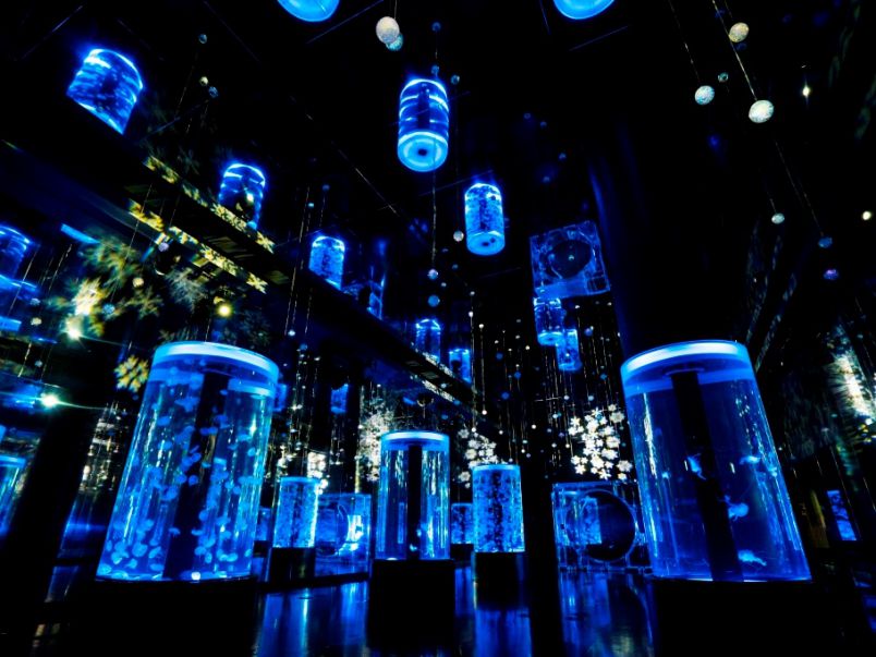 l_wPAGAHqIkbgyv94PJg1zpLv1Z9Vh