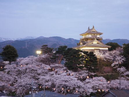 福井県のお花見・桜の名所（2020）夜桜・ライトアップや桜祭りも