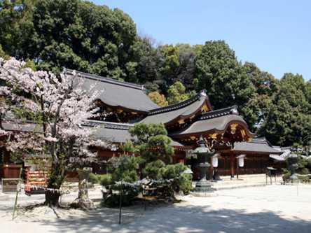京都屈指のお寺＆神社めぐりで厄除けも！ありがた～いご朱印集めプラン