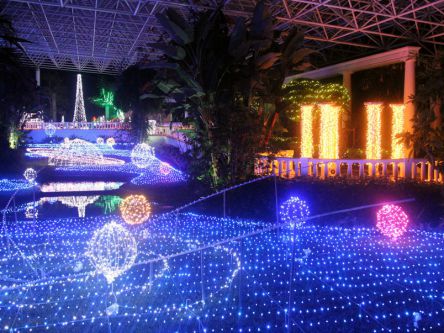 鹿児島県のおすすめイルミネーション（2019-2020）クリスマスや冬デートに！