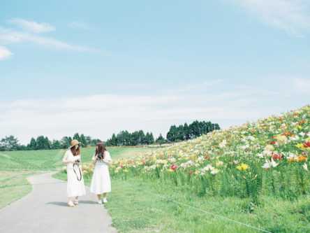「箱館山ゆり園」で絶景と甘い香りを満喫【Masa の関西カメラさんぽ4】