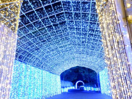 佐賀県のおすすめイルミネーション（2019-2020）鳥栖、武雄、嬉野など