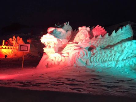 秋田県のおすすめイルミネーション&雪まつりのライトアップ（2019-2020）