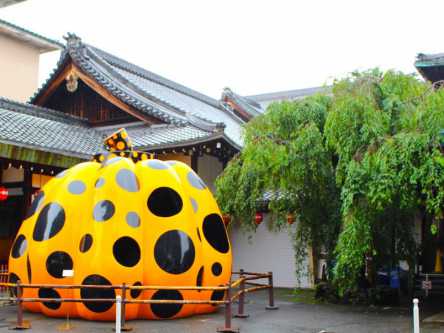 畳の上で草間彌生ワールドを堪能。京都の現代アート美術館に急げ！