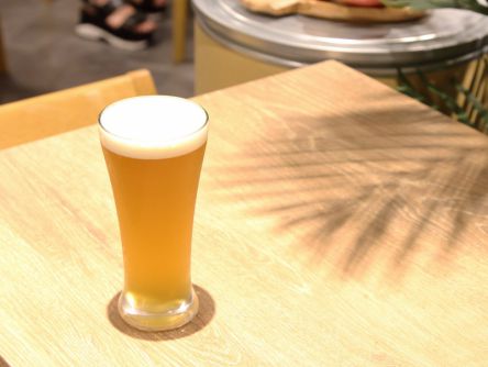 見た目はビール、実はお茶!?銀座の台湾茶専門店「Cha Nova」が人気沸騰中！